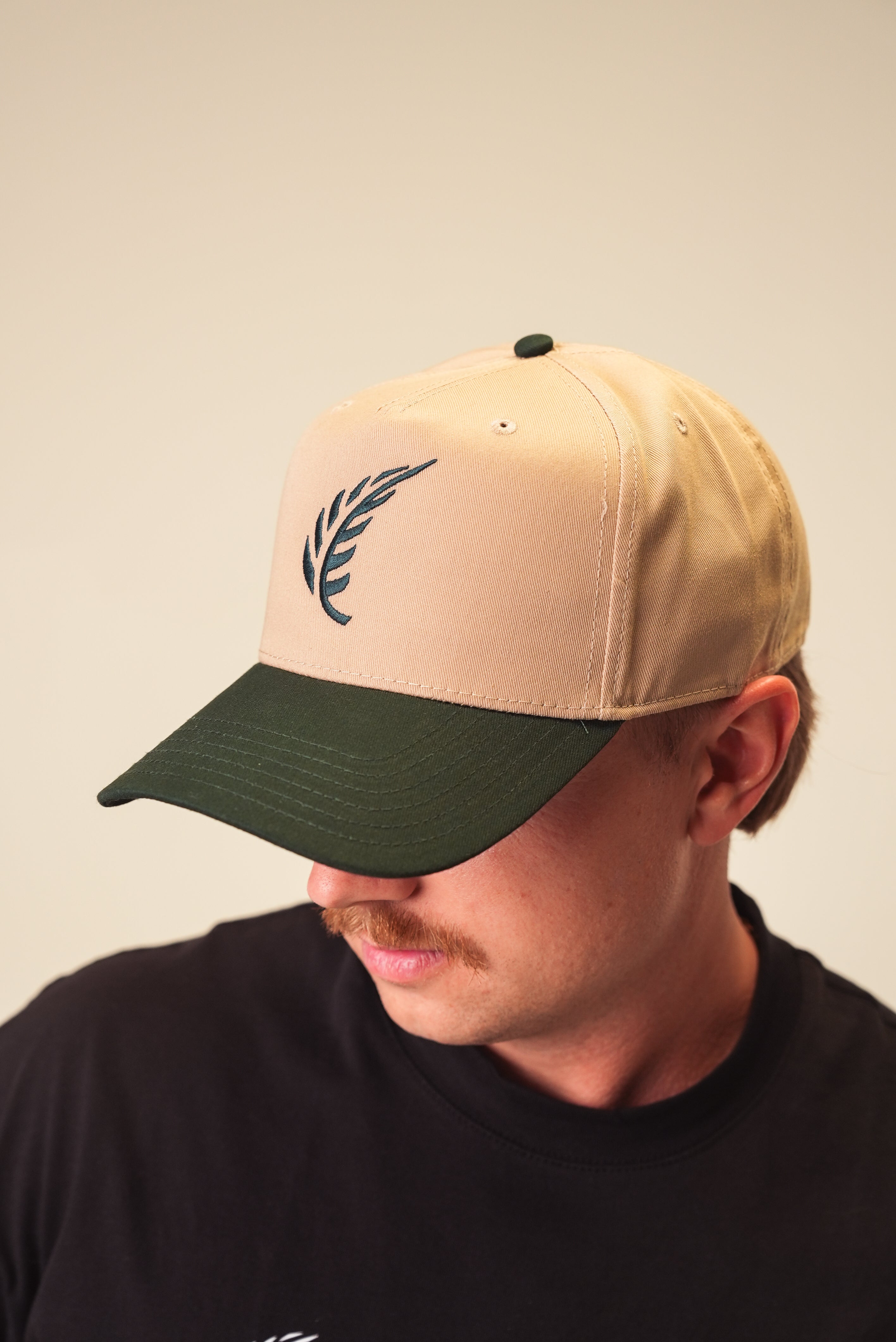 Crest Snapback - Grove / Canvas